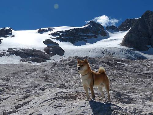 《Uzi:从无名到传奇,电竞梦想永不止步》,uzi在电竞圈的地位