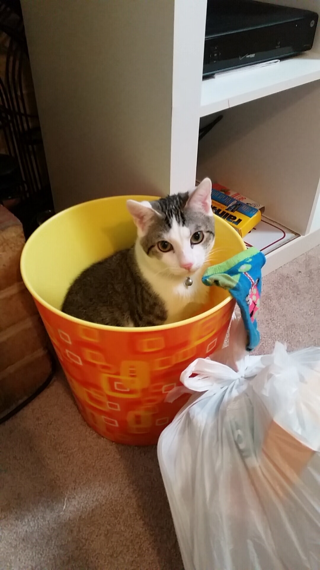 《【产业洞察】2025年电竞市场十大趋势》,电竞行业未来