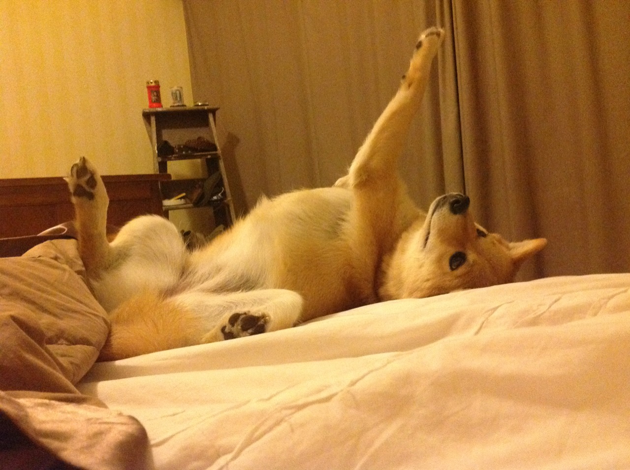 【规则变革背后】联盟如何平衡公平、公正与竞技性？，lol公平性