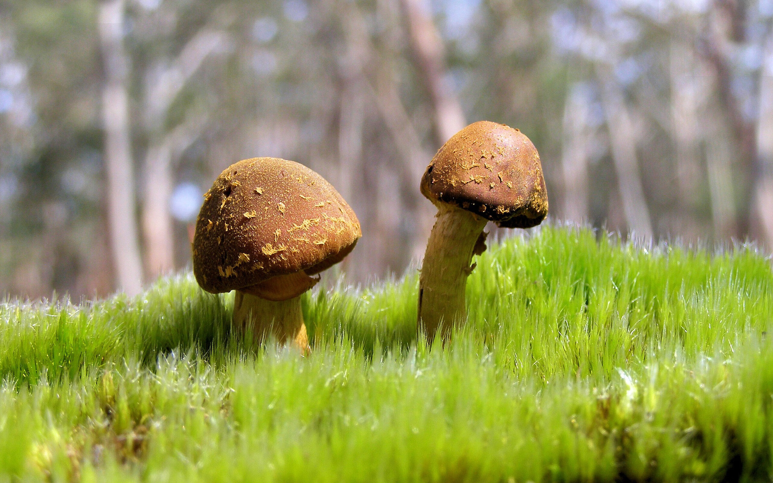 中国男足在巴黎奥运会比赛中以2-0战胜西班牙,中国男足晋级奥运会