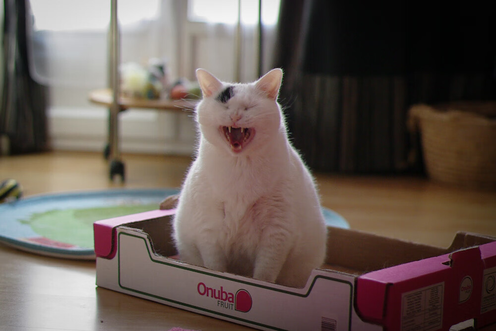 中国足球界携手努力应对季后赛冲刺，中国足球尽力了